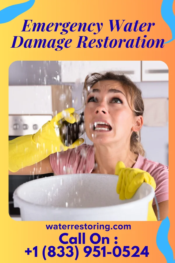 Emergency Water Damage Restoration in Evergreen Park, IL