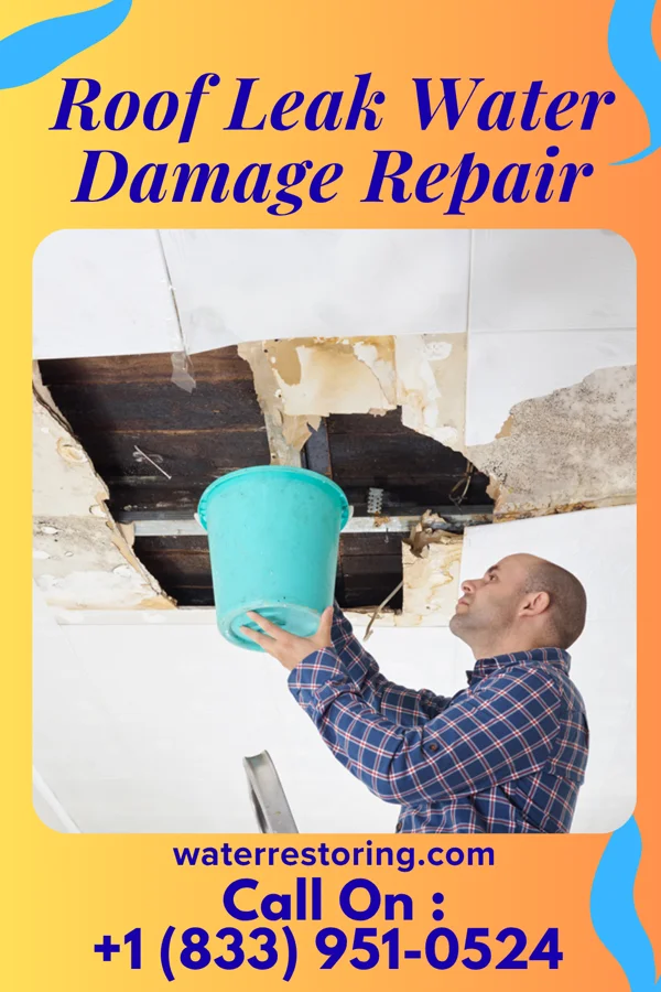 Roof Leak Water Damage Repair in Evergreen Park, IL