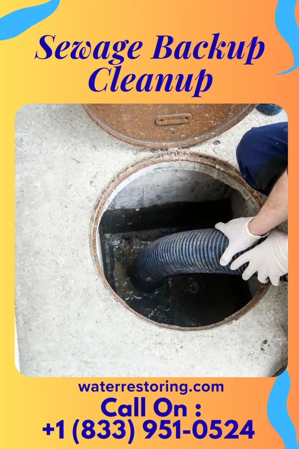 Sewage Backup Cleanup in Evergreen Park, IL